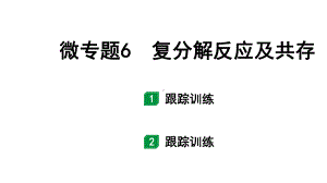 2024长沙中考化学一轮复习 微专题6 复分解反应及共存（课件）.pptx