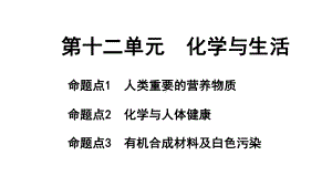 2024长沙中考化学一轮复习 第十二单元 化学与生活（课件）.pptx