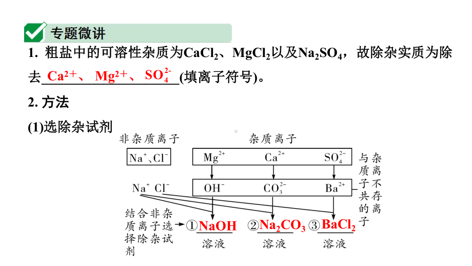 2024四川中考化学一轮复习 微专题13 粗盐中可溶性杂质的去除（课件）.pptx_第2页