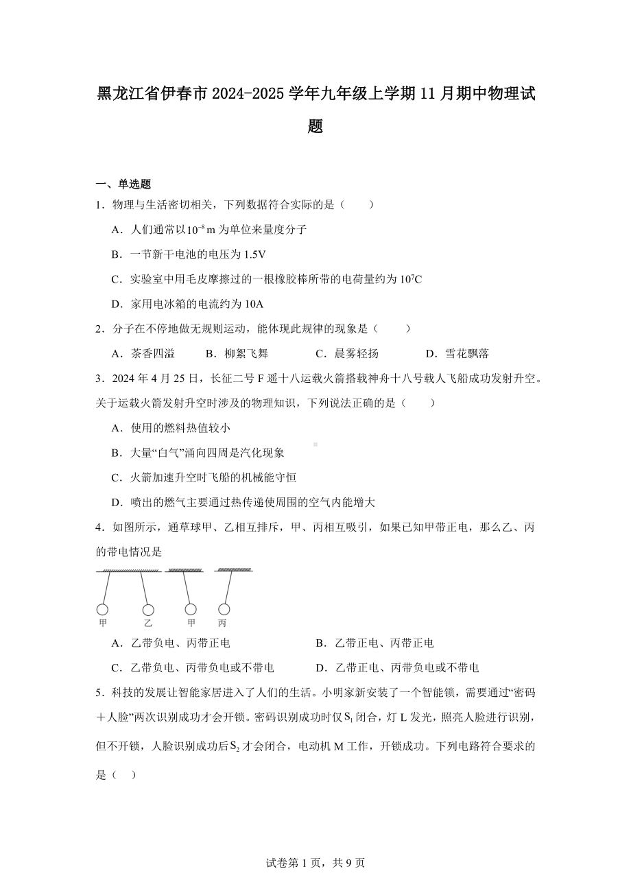 黑龙江省伊春市2024-2025学年九年级上学期11月期中物理试题.docx_第1页