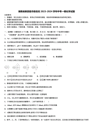 湖南省新邵县市级名校2023-2024学年中考一模化学试题含解析.doc