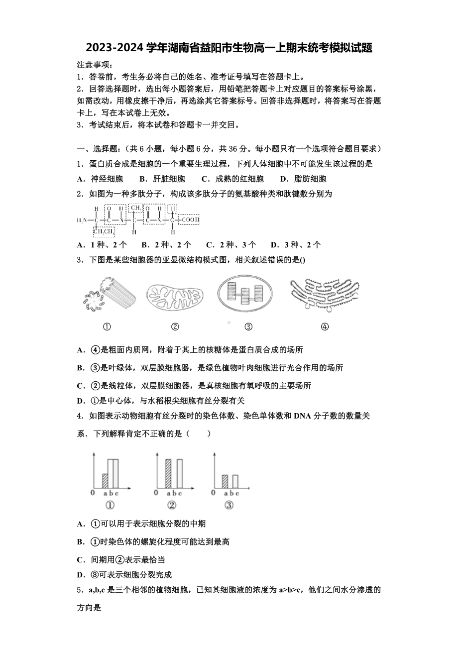 2023-2024学年湖南省益阳市生物高一上期末统考模拟试题含解析.doc_第1页