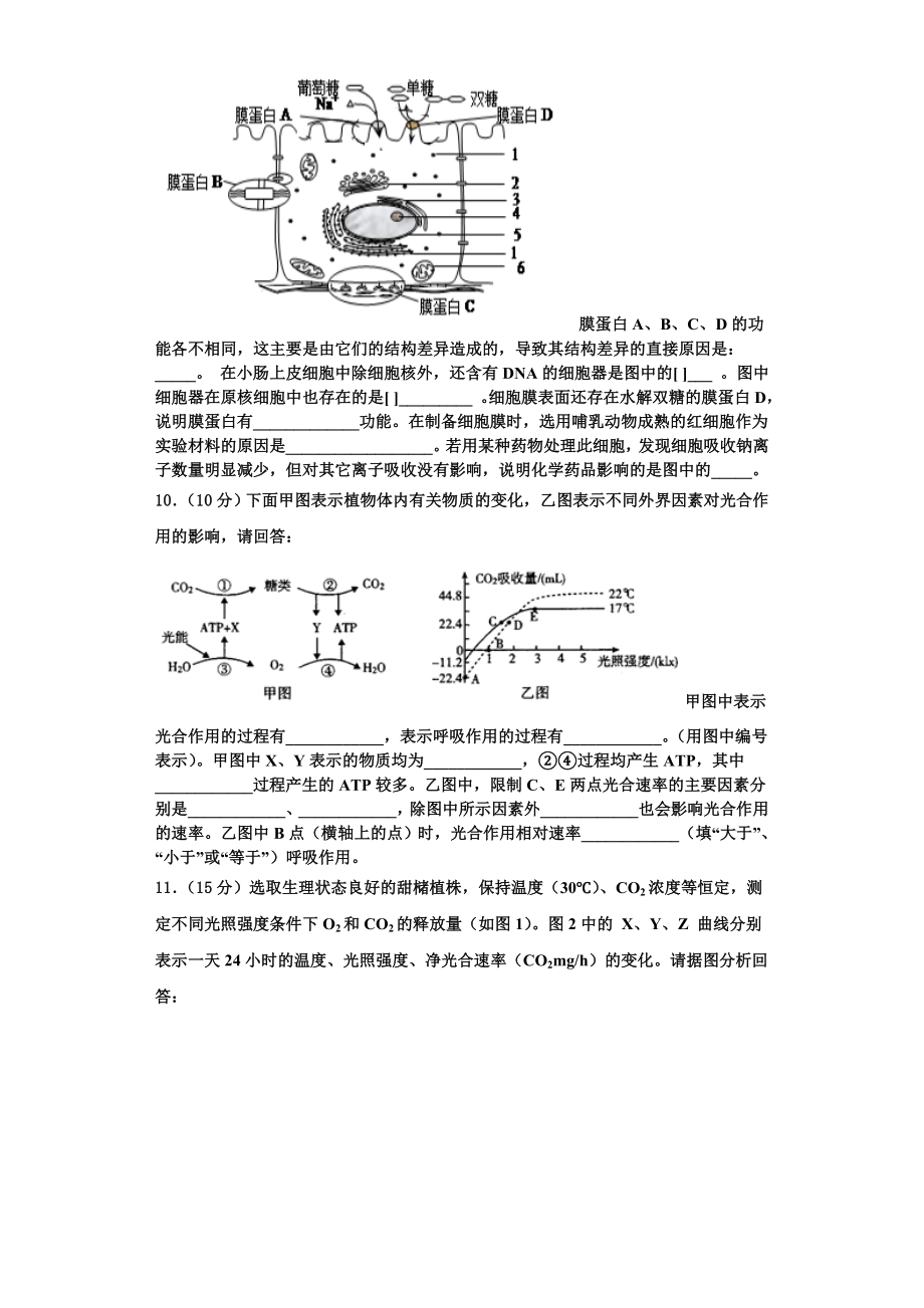 2023-2024学年湖南省益阳市生物高一上期末统考模拟试题含解析.doc_第3页