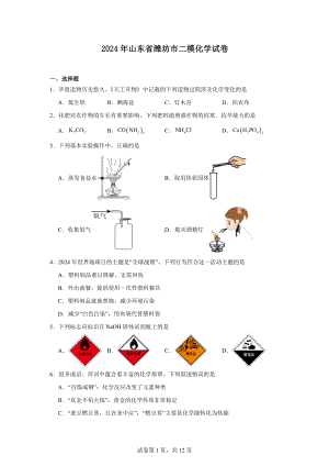 2024年山东省潍坊市二模化学试卷.docx