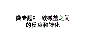 2024四川中考化学一轮复习 微专题9 酸碱盐之间的反应和转化（课件）.pptx