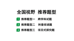 2024沈阳中考化学二轮专题突破 全国视野推荐题型（课件）.pptx