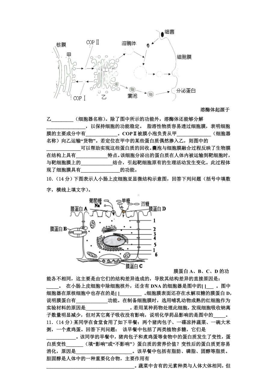 广东省广州市增城区郑中均中学2023-2024学年生物高一上期末学业质量监测试题含解析.doc_第3页