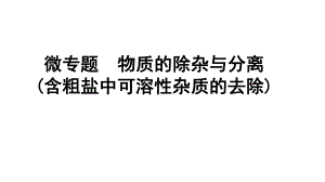 2024沈阳中考化学二轮专题突破 微专题 物质的除杂与分离（含粗盐中可溶性杂质的去除）（课件）.pptx