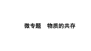 2024沈阳中考化学二轮专题突破 微专题 物质的共存（课件）.pptx