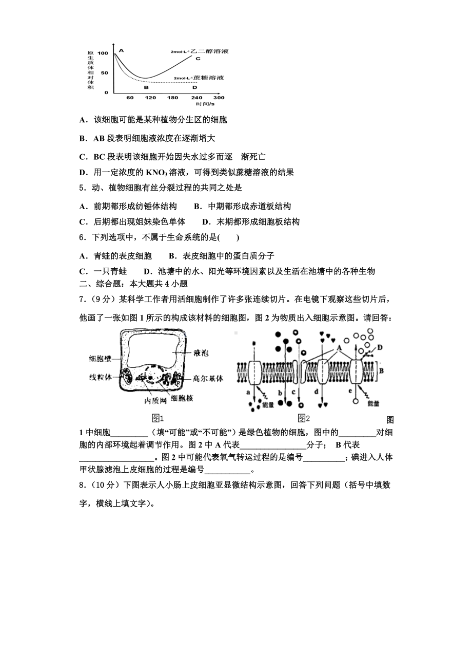 2024届山东省潍坊市教科所生物高一上期末综合测试模拟试题含解析.doc_第2页