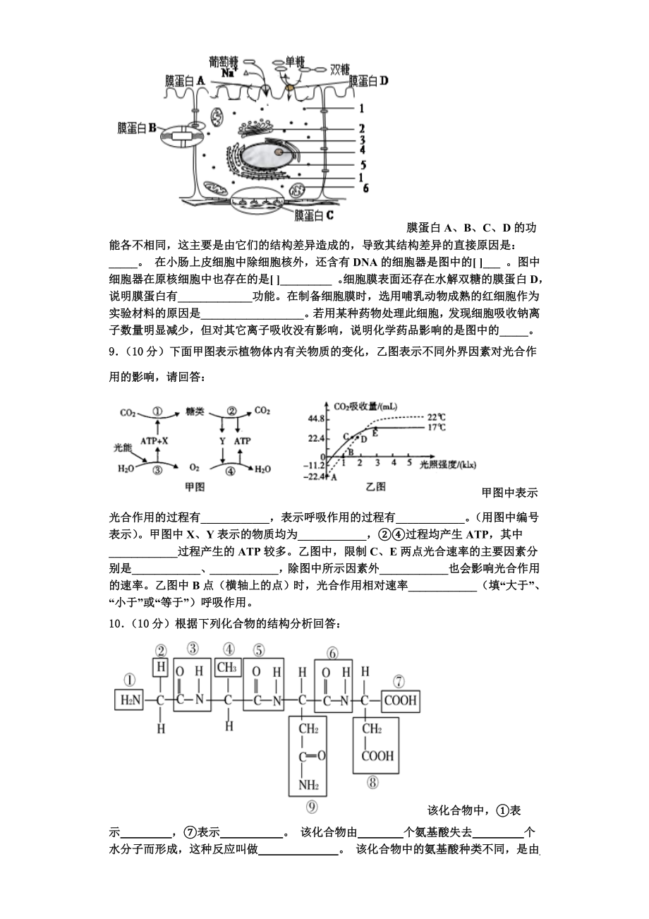 2024届山东省潍坊市教科所生物高一上期末综合测试模拟试题含解析.doc_第3页