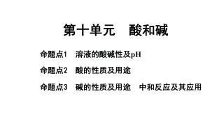 2024长沙中考化学一轮复习 第十单元　酸和碱 （课件）.pptx