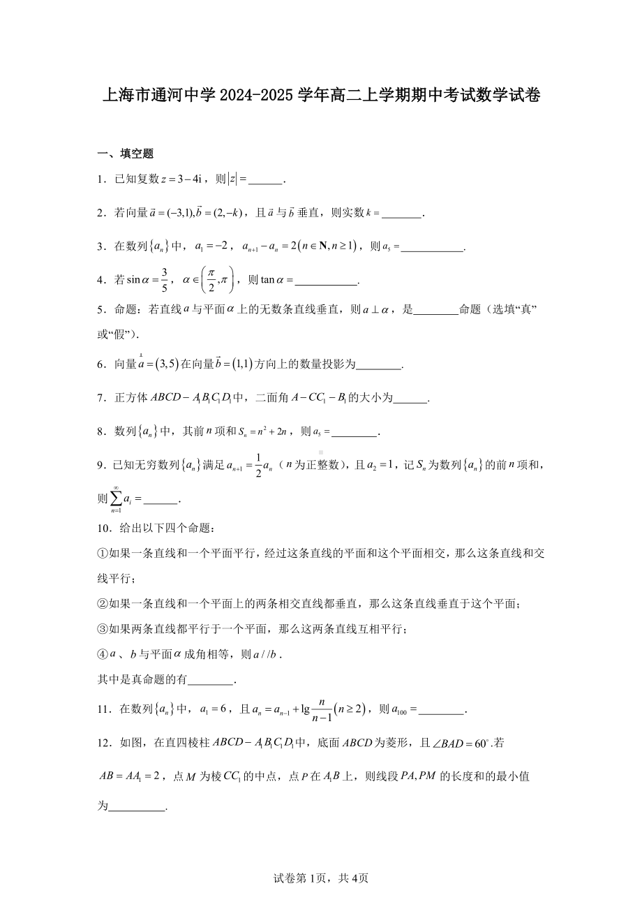 上海市通河中学2024-2025学年高二上学期期中考试数学试卷.pdf_第1页