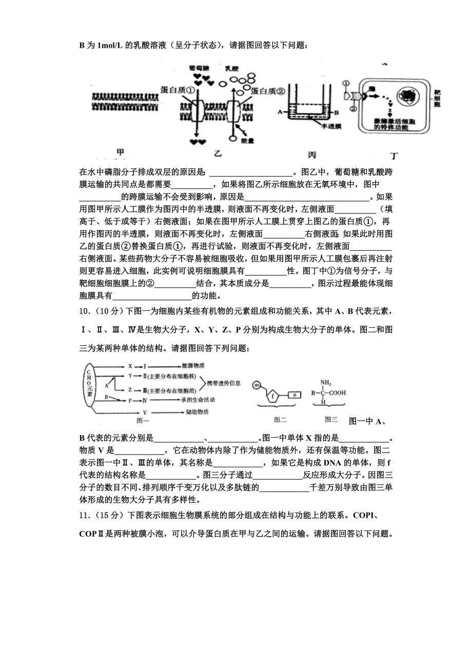 河北省衡水市重点名校2023年生物高一上期末监测模拟试题含解析.doc_第3页