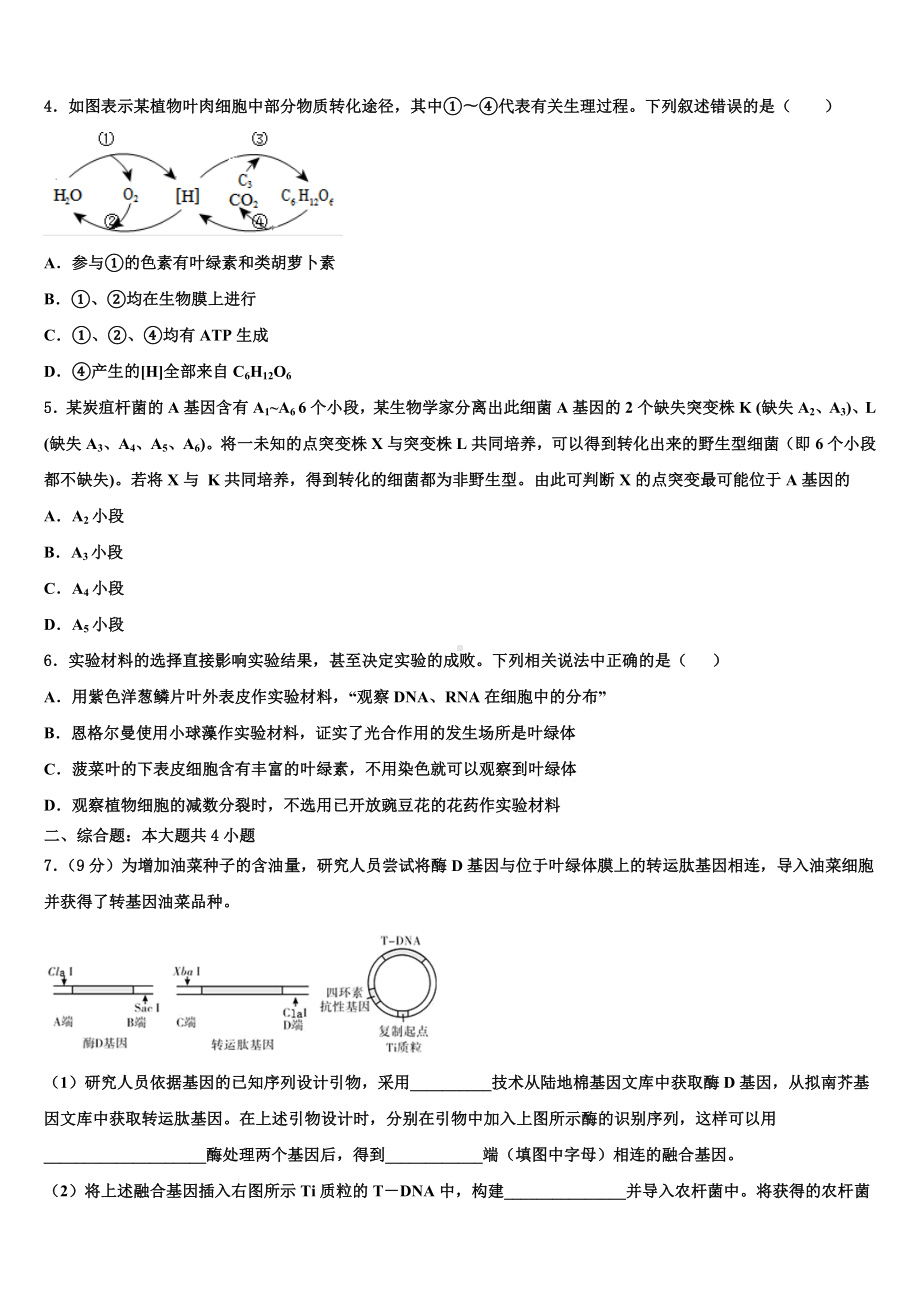 河南省周口市川汇区2023年高考全国统考预测密卷生物试卷含解析.doc_第2页