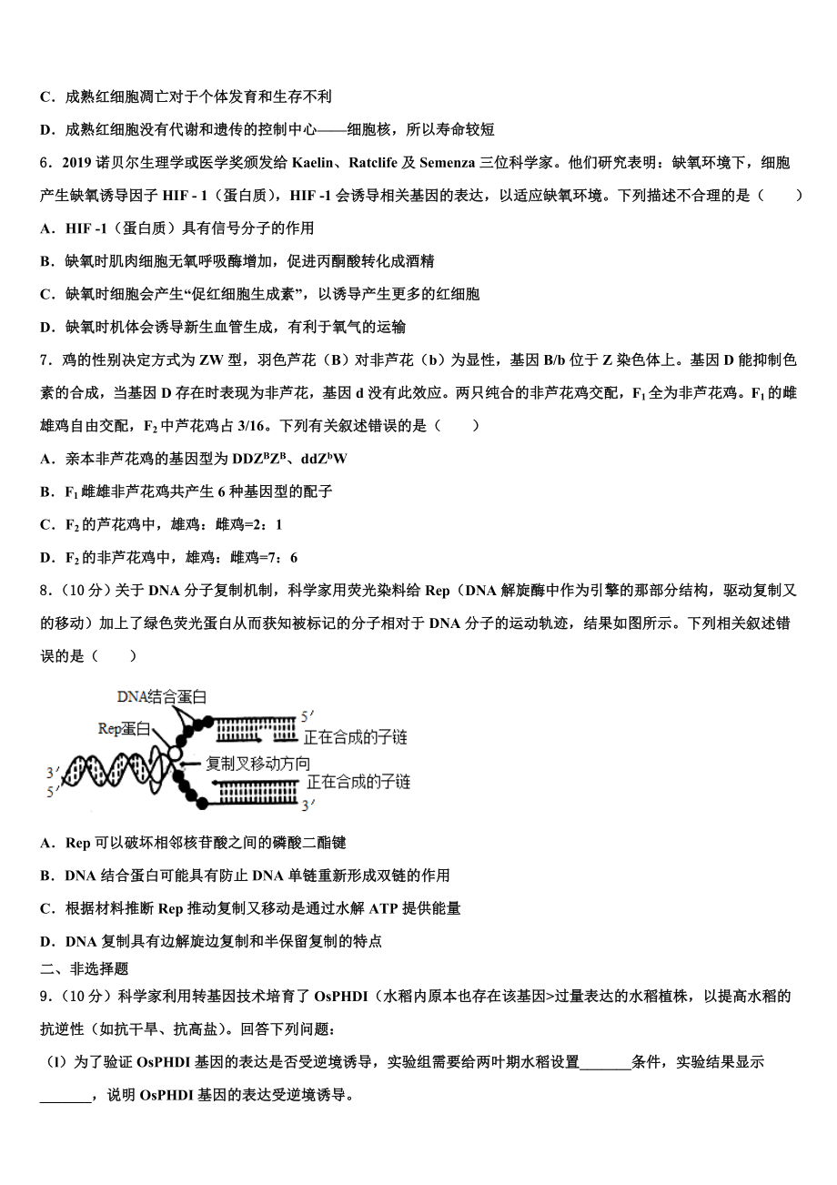 2023年福建省长汀县-新桥中学高三生物第一学期期末考试模拟试题含解析.doc_第2页