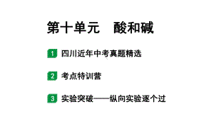 2024四川中考化学一轮复习 第十单元 酸和碱（课件）.pptx