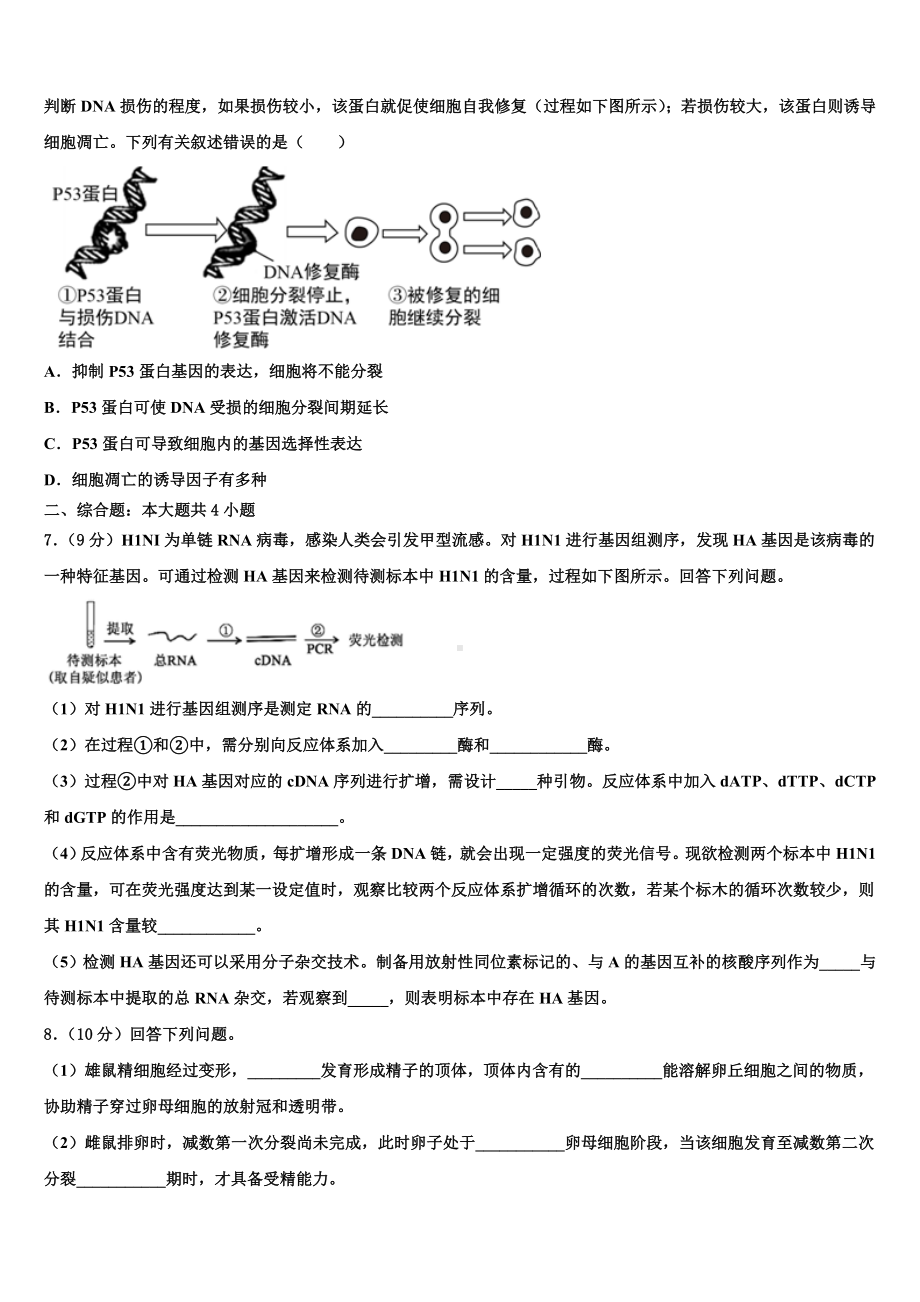 2024届四川省遂宁市船山区二中高三生物第一学期期末综合测试模拟试题含解析.doc_第2页