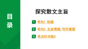 2024成都中考语文备考 考点1对1探究散文主旨(课件).pptx