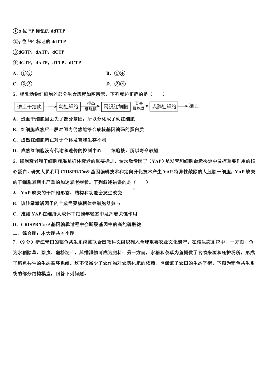 2024届福建省东山第二中学高三最后一模生物试题含解析.doc_第2页