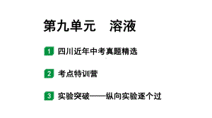 2024四川中考化学一轮复习 第九单元 溶液（课件）.pptx