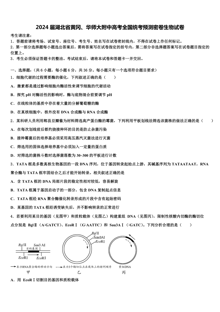 2024届湖北省黄冈、华师大附中高考全国统考预测密卷生物试卷含解析.doc_第1页