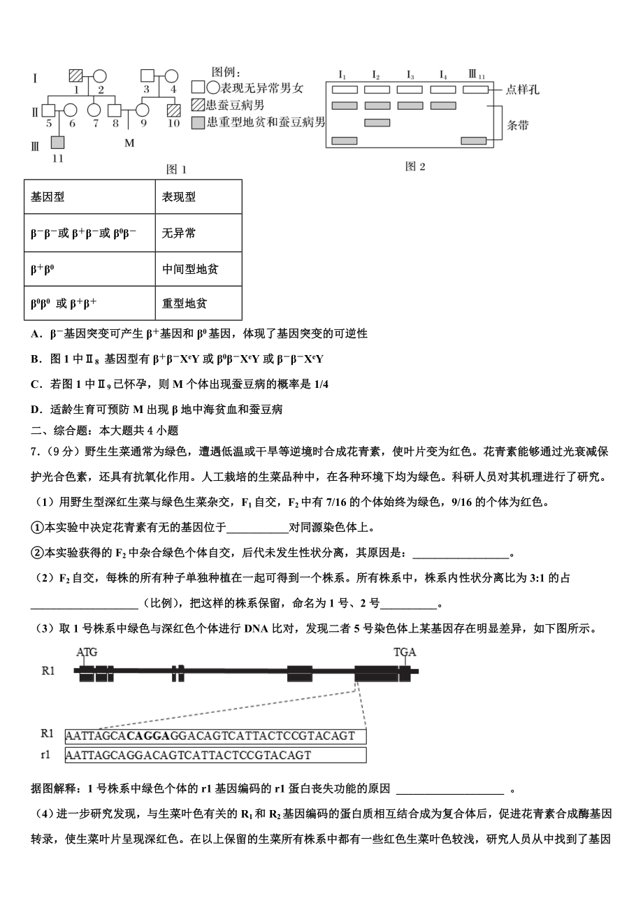 2023-2024学年北京市文江中学高三最后一卷生物试卷含解析.doc_第3页