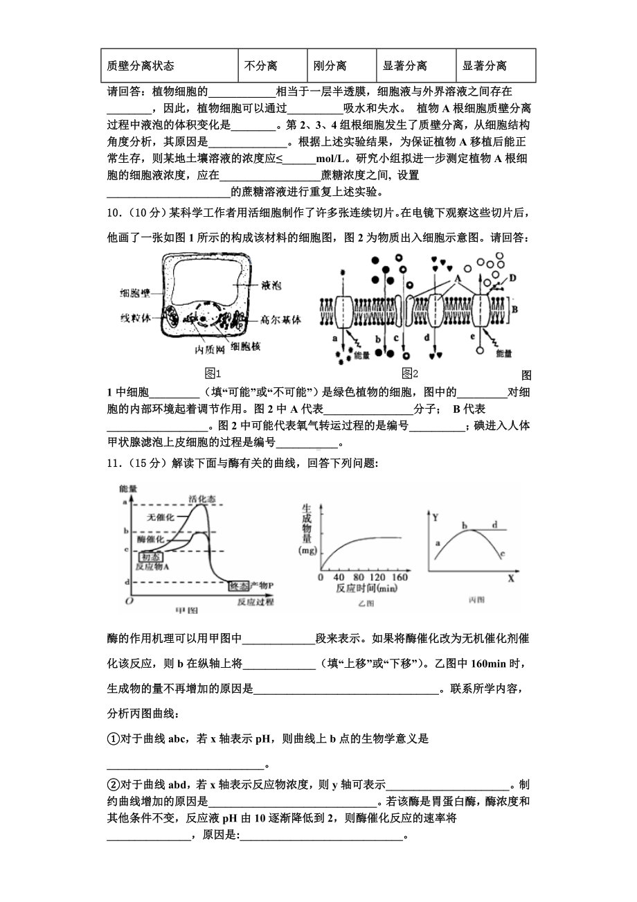 新疆维吾尔自治区2023-2024学年高一生物第一学期期末经典试题含解析.doc_第3页