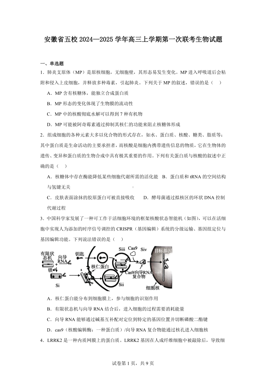 安徽省五校2024—2025学年高三上学期第一次联考生物试题.docx_第1页