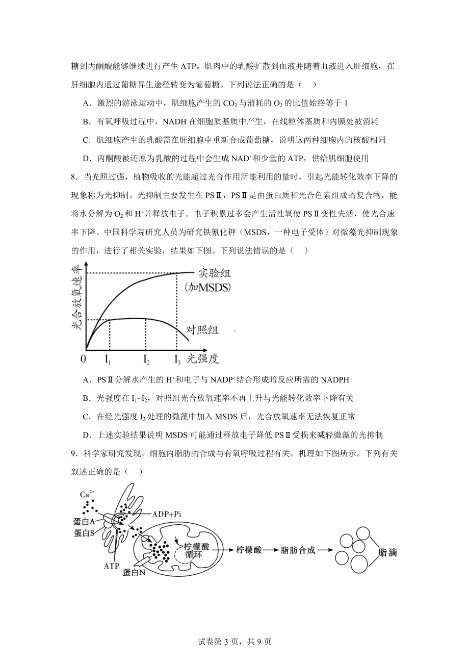 安徽省五校2024—2025学年高三上学期第一次联考生物试题.docx_第3页