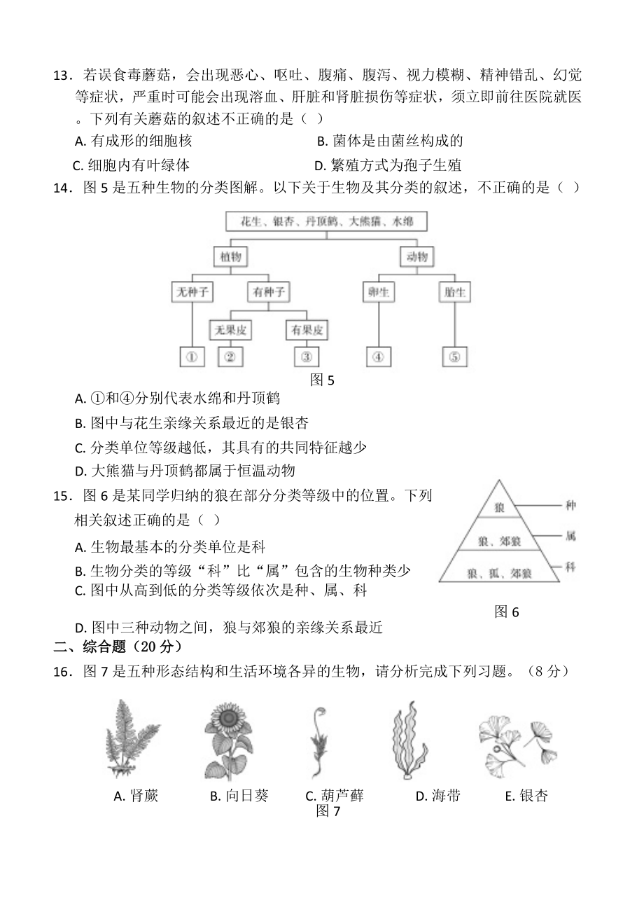 2024新人教版七年级上册《生物》期末模拟测试.docx_第3页