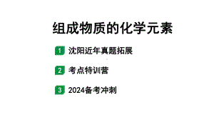 2024沈阳中考化学二轮专题突破 组成物质的化学元素（课件）.pptx