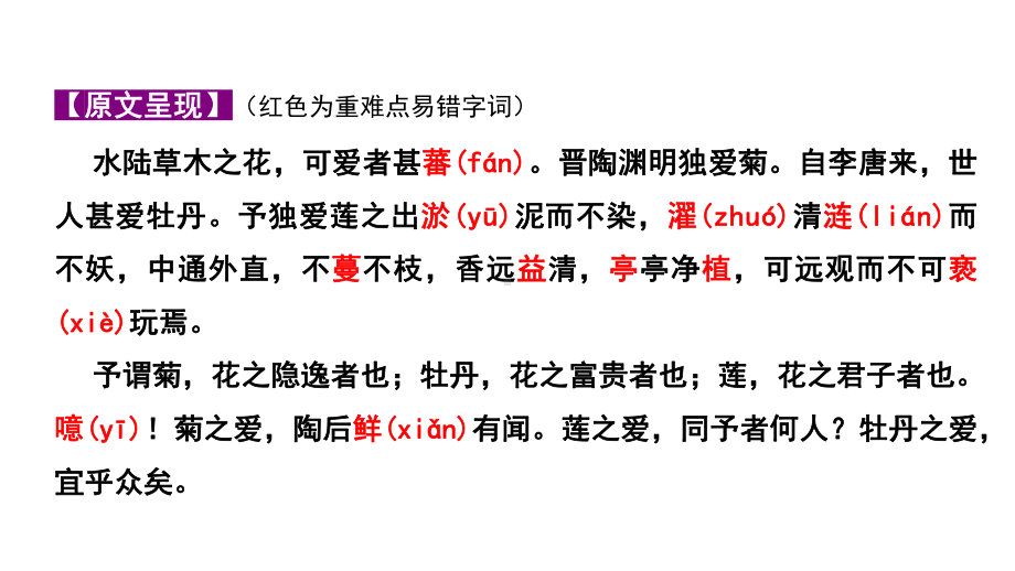 2024成都中考语文备考文言文专题 爱莲说“三行对译”（教学课件）.pptx_第2页