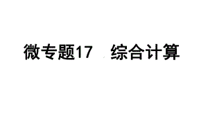 2024沈阳中考化学二轮专题突破 微专题 综合计算（课件）.pptx