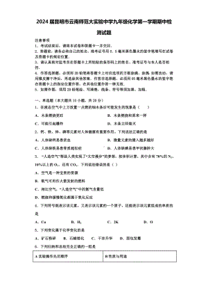 2024届昆明市云南师范大实验中学九年级化学第一学期期中检测试题含解析.doc