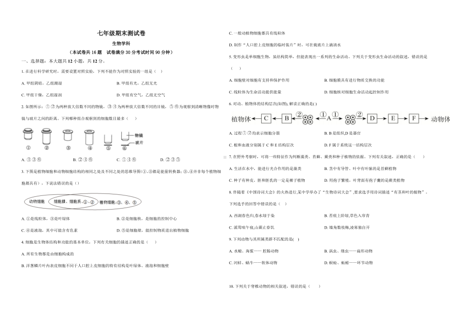 2024新苏教版七年级上册《生物》期末模拟试题.docx_第1页