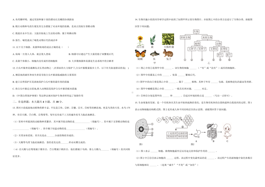 2024新苏教版七年级上册《生物》期末模拟试题.docx_第2页