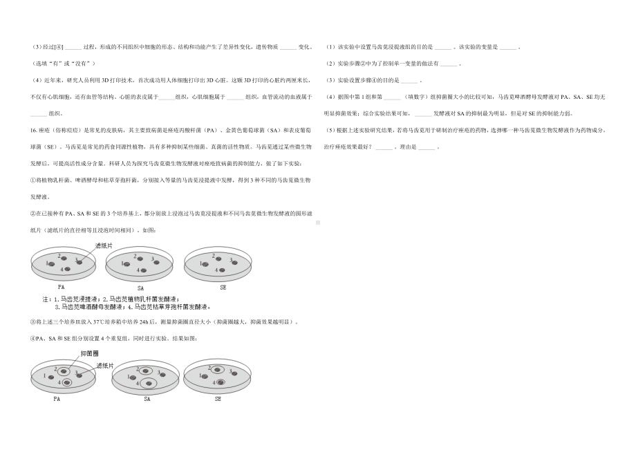 2024新苏教版七年级上册《生物》期末模拟试题.docx_第3页