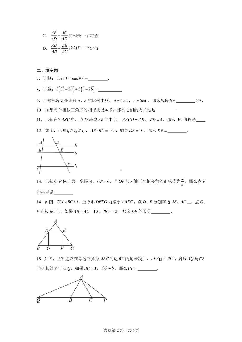 上海市杨浦区2024-2025学年八年级上学期数学期中试卷(五四学制).pdf_第2页