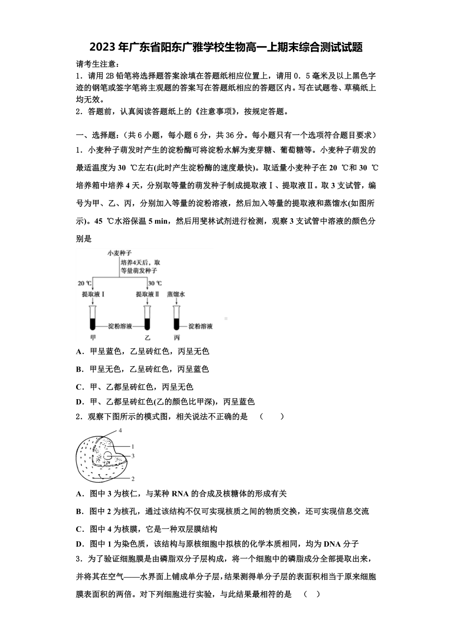 2023年广东省阳东广雅学校生物高一上期末综合测试试题含解析.doc_第1页