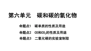 2024长沙中考化学一轮复习 第六单元 碳和碳的氧化物（课件）.pptx