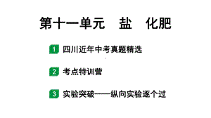 2024四川中考化学一轮复习 第十一单元　盐　化肥（课件）.pptx