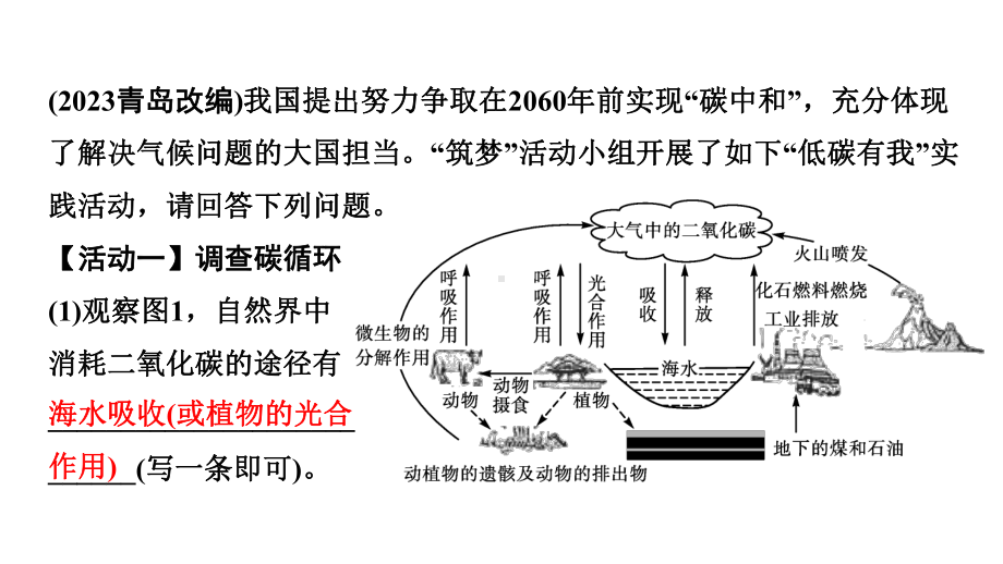 2024中考化学试题研究 跨学科实践活动(课件).pptx_第3页