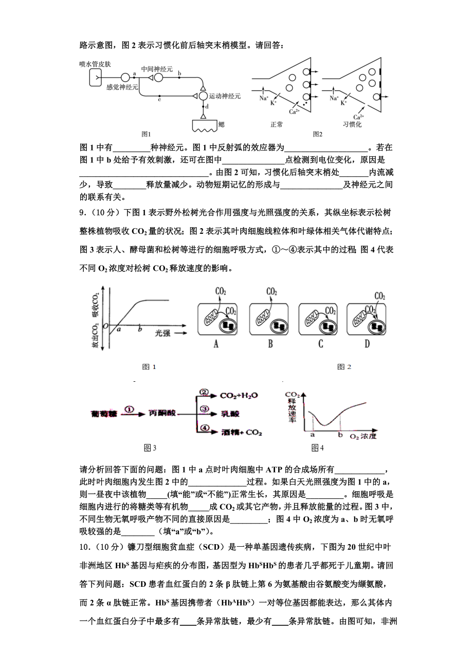 2023年上海市长宁、青浦、宝山、嘉定生物高一第一学期期末学业质量监测试题含解析.doc_第3页