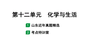 2024山东中考化学一轮复习 中考考点研究 第十二单元化学与生活（课件）.pptx