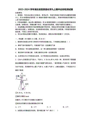 2023-2024学年湖北省宣恩县化学九上期中达标检测试题含解析.doc