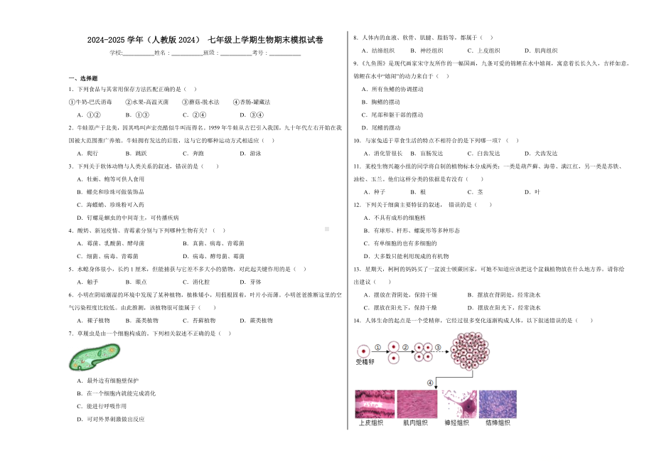 2024新人教版七年级上册《生物》期末模拟试卷.docx_第1页