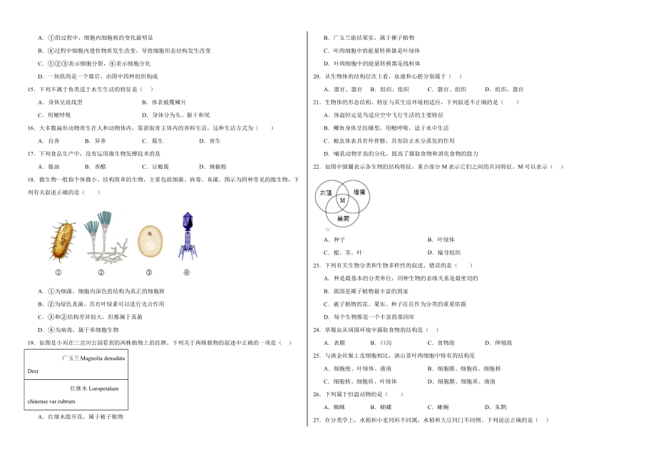 2024新人教版七年级上册《生物》期末模拟试卷.docx_第2页