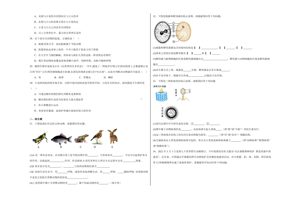 2024新人教版七年级上册《生物》期末模拟试卷.docx_第3页