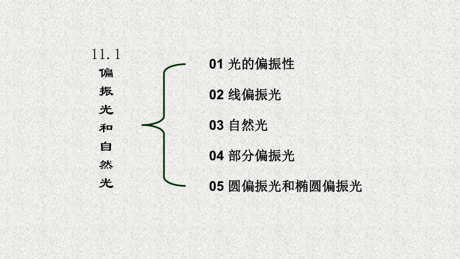 《物理学原理及工程应用》课件1101偏振光和自然光.pptx_第2页